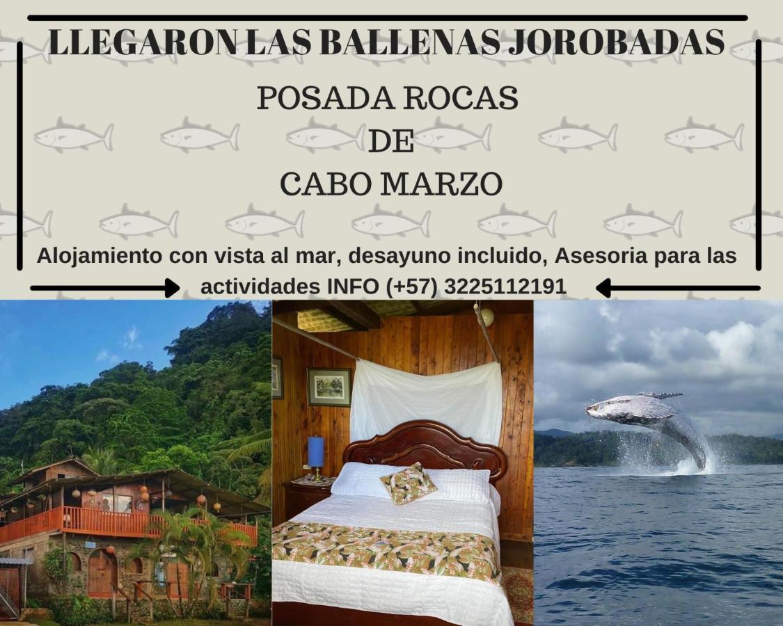 Posada Turistica Rocas De Cabo Marzo Bahia Solano Exterior foto